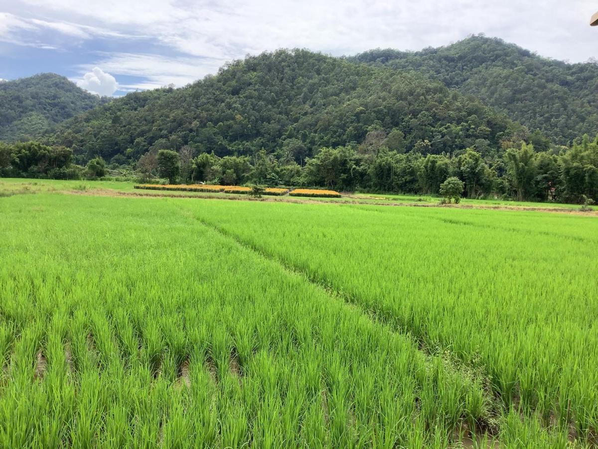 บ้านสวนวิวทุ่ง Ban Mae Sap Nua Luaran gambar