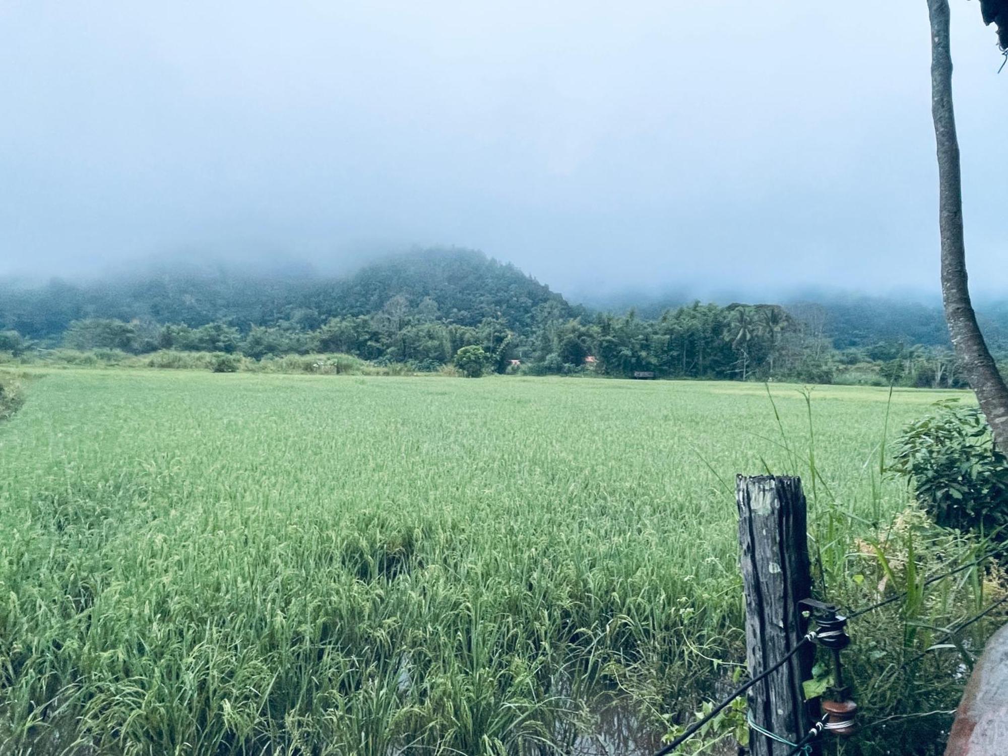 บ้านสวนวิวทุ่ง Ban Mae Sap Nua Luaran gambar
