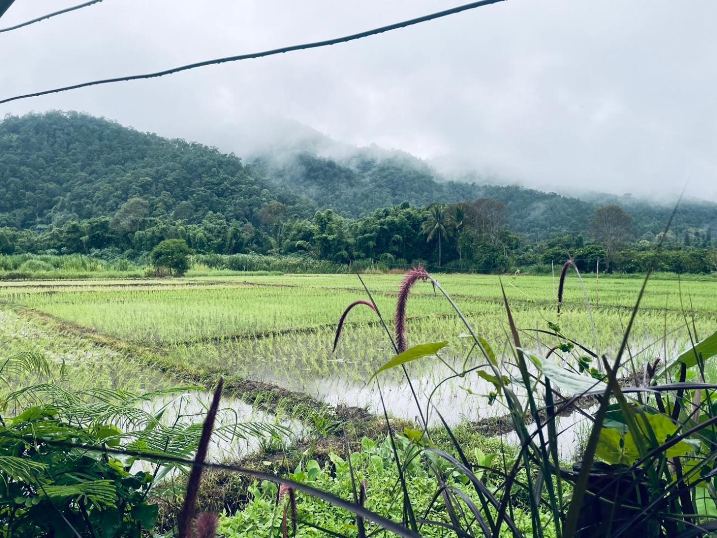 บ้านสวนวิวทุ่ง Ban Mae Sap Nua Luaran gambar