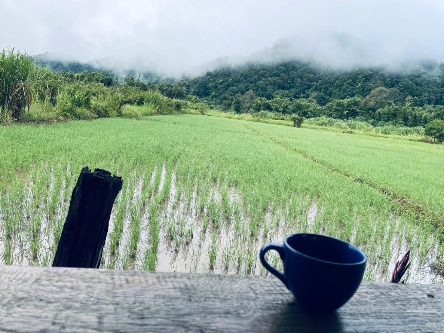 บ้านสวนวิวทุ่ง Ban Mae Sap Nua Luaran gambar