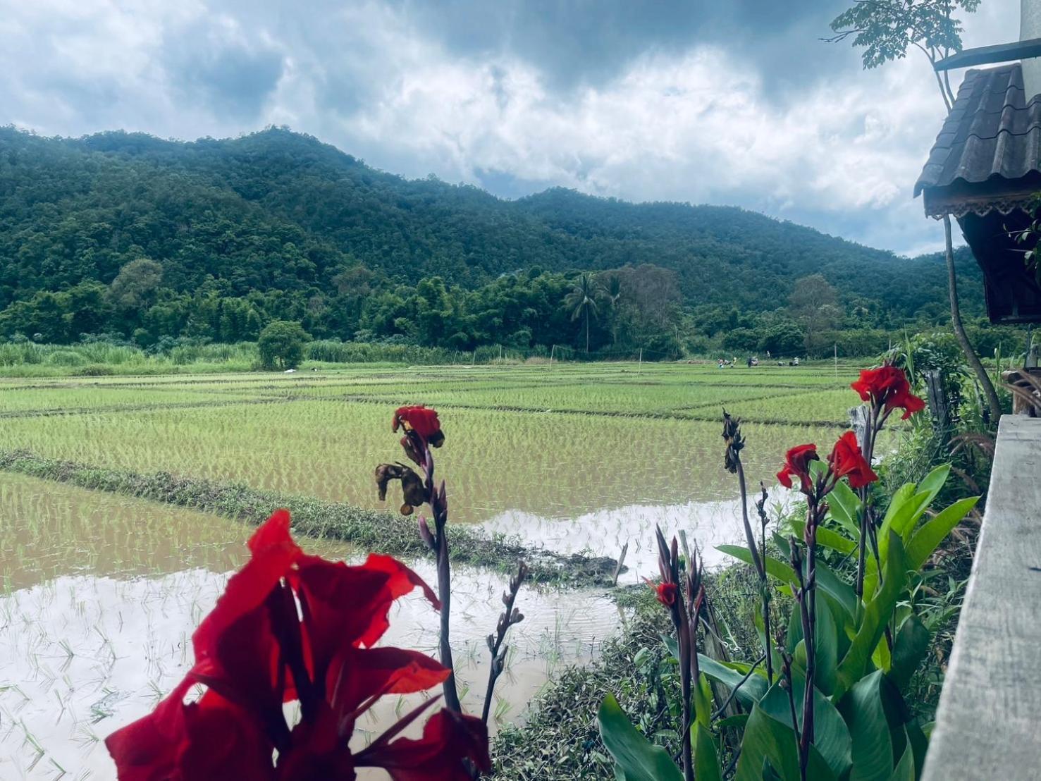 บ้านสวนวิวทุ่ง Ban Mae Sap Nua Luaran gambar