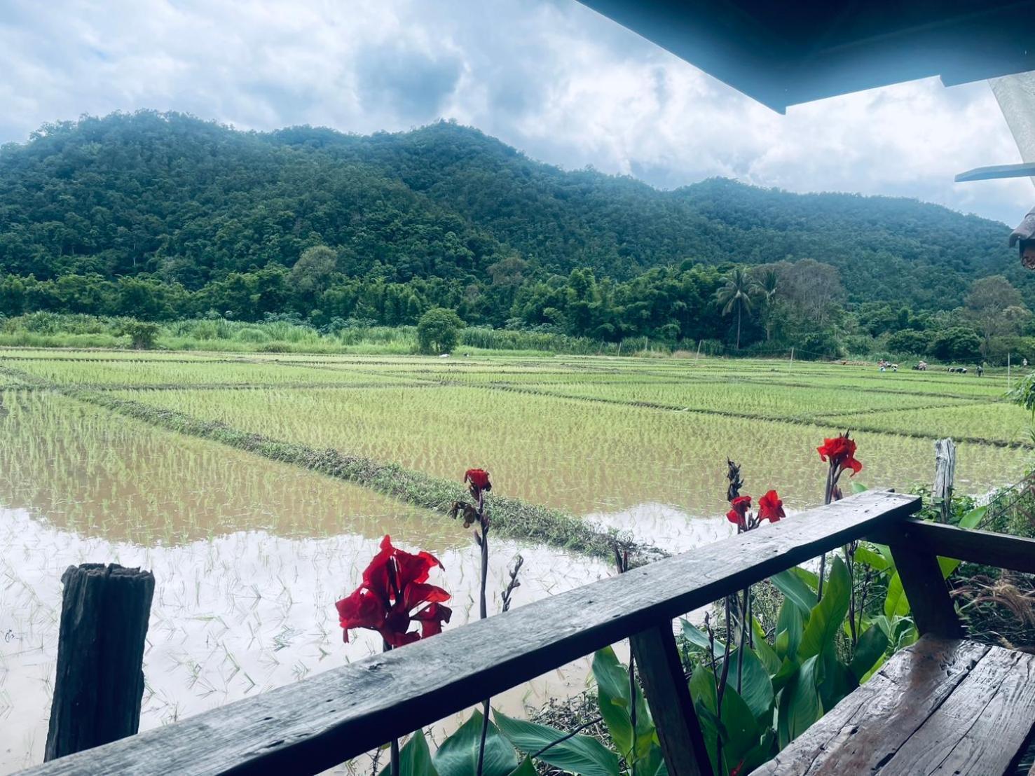 บ้านสวนวิวทุ่ง Ban Mae Sap Nua Luaran gambar