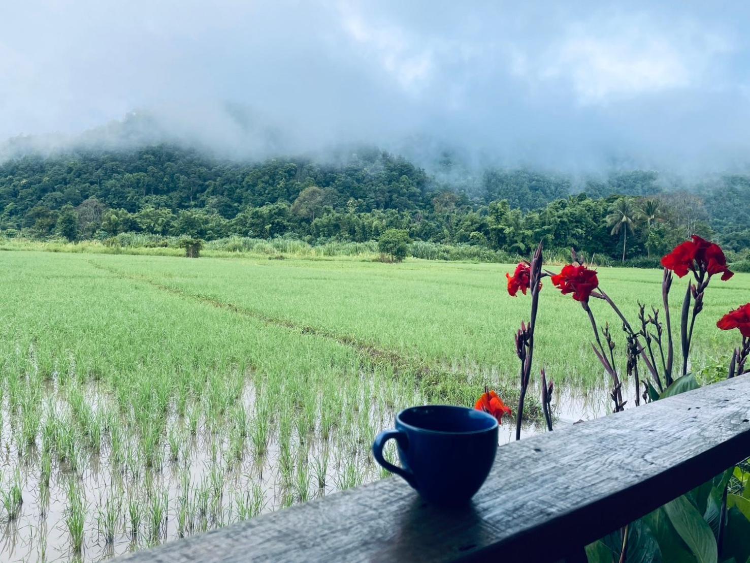 บ้านสวนวิวทุ่ง Ban Mae Sap Nua Luaran gambar