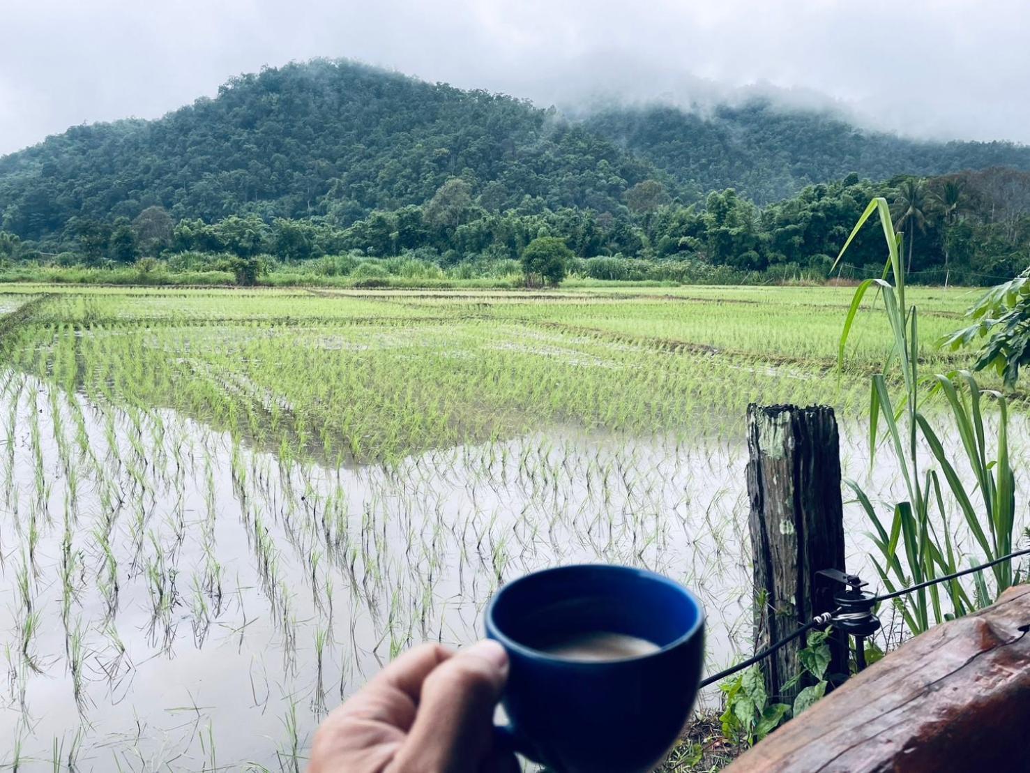 บ้านสวนวิวทุ่ง Ban Mae Sap Nua Luaran gambar