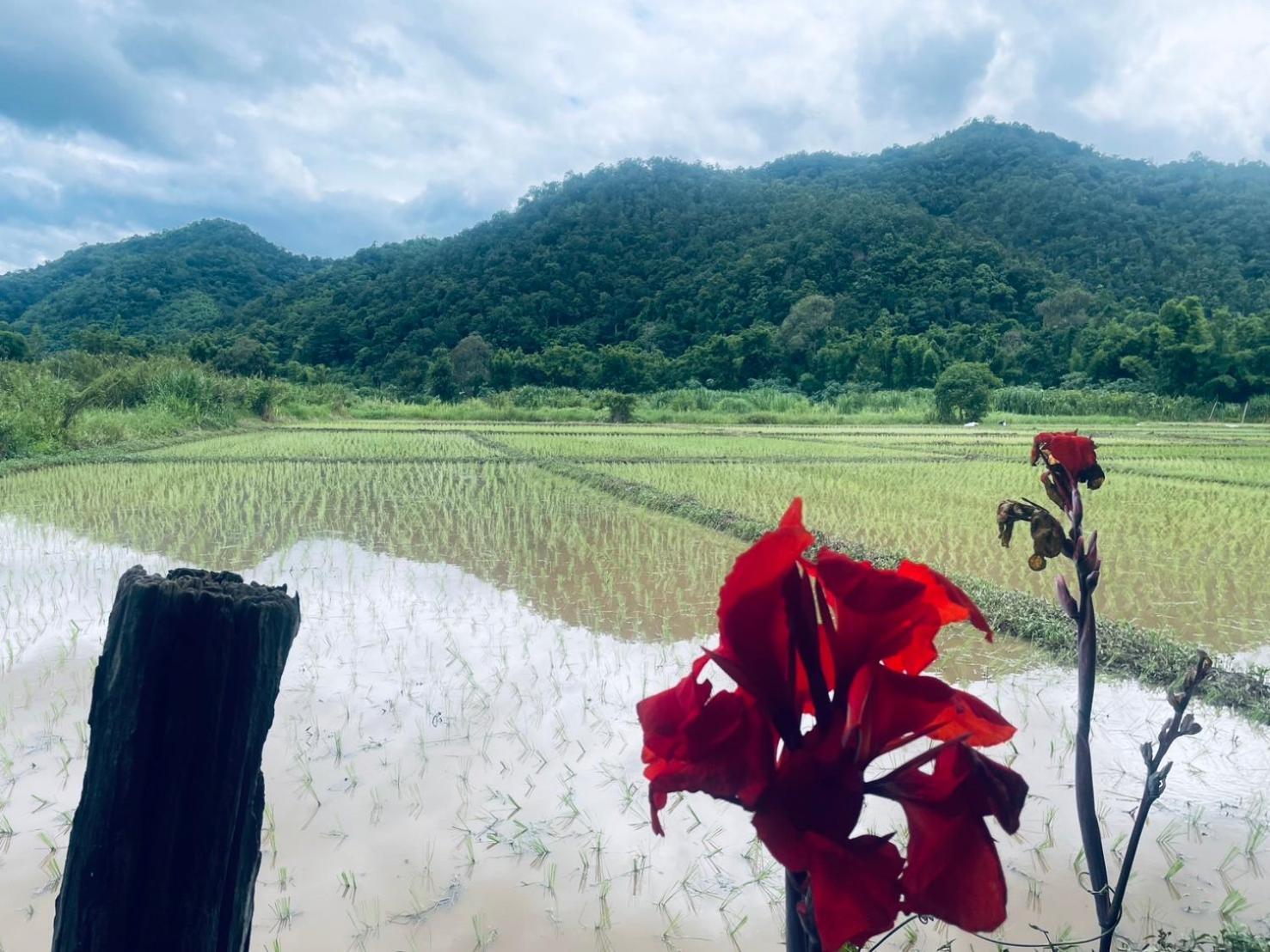 บ้านสวนวิวทุ่ง Ban Mae Sap Nua Luaran gambar