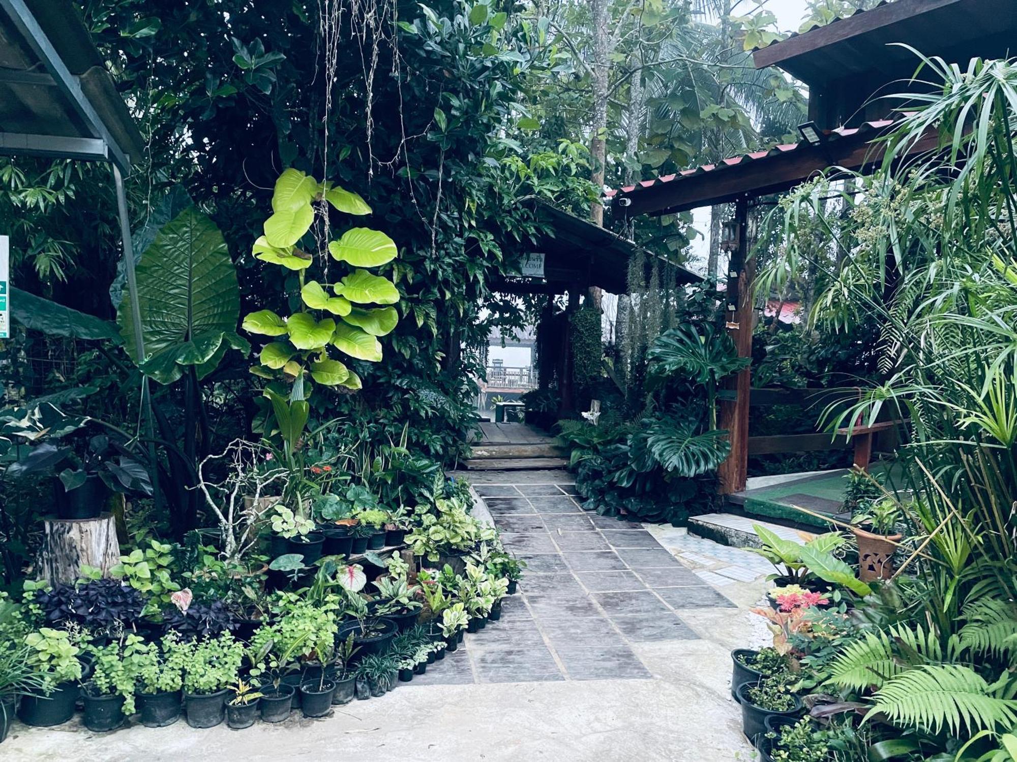 บ้านสวนวิวทุ่ง Ban Mae Sap Nua Luaran gambar