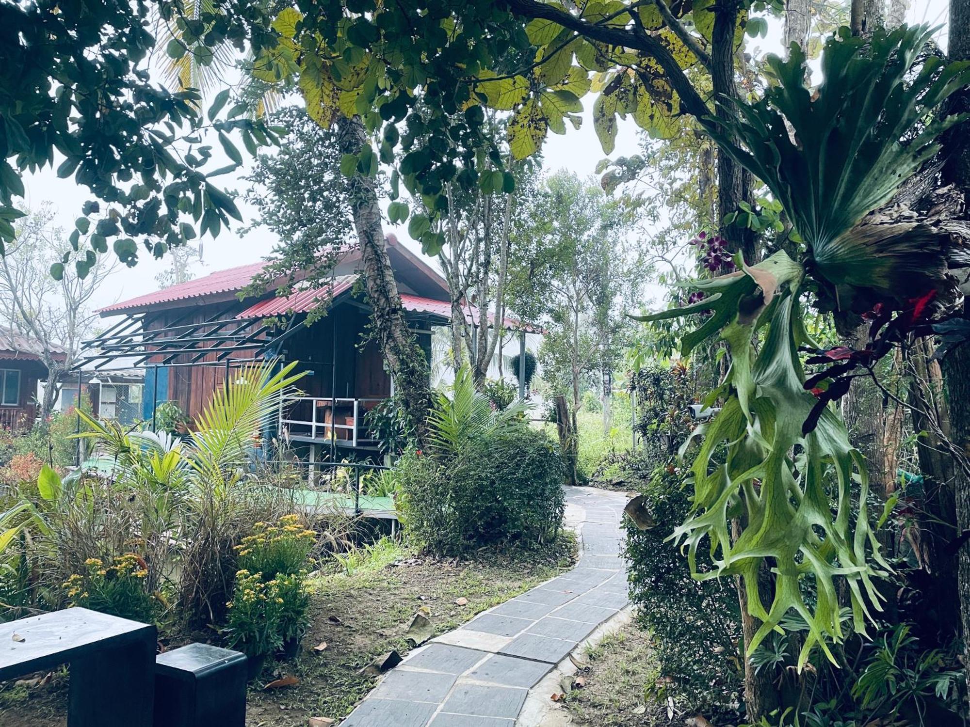 บ้านสวนวิวทุ่ง Ban Mae Sap Nua Luaran gambar